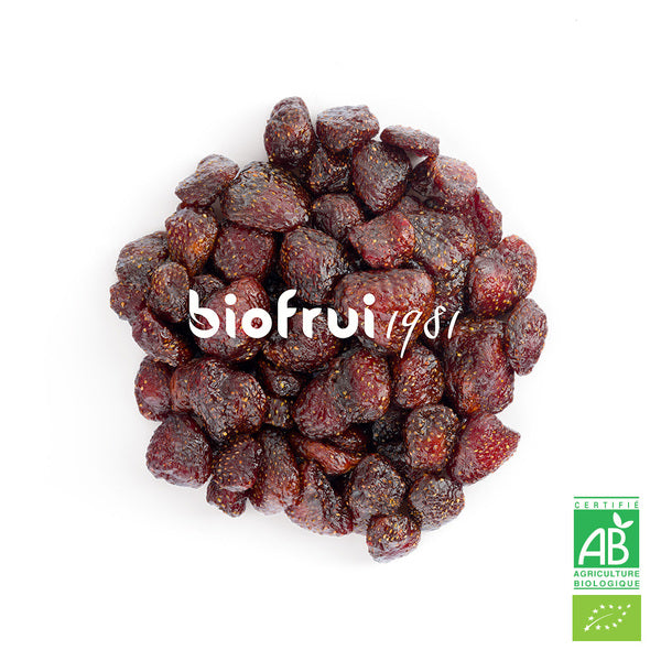 Fraise senga des alpes dinariques séchée entière bio - 3